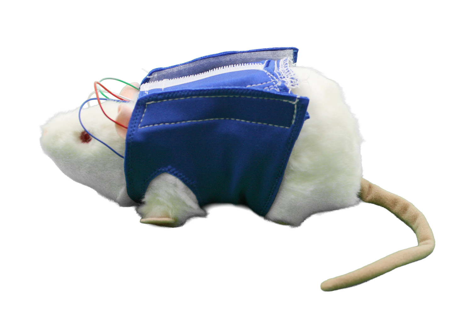 Wireless Biopotential System (rats and larger) - 이미지 2