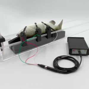 Large Fish ECG System